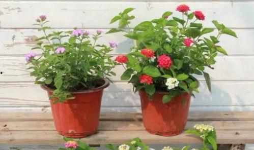 海森最新爆料动画视频,精彩剧情与角色深度解析 第3张 海森最新爆料动画视频,精彩剧情与角色深度解析 第3张