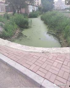 营口老边区爆料事件最新,真相揭开，疑云散去，居民生活回归平静