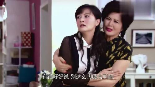 前妻回家全集在线观看,重温旧爱，情感纠葛再掀波澜  第3张